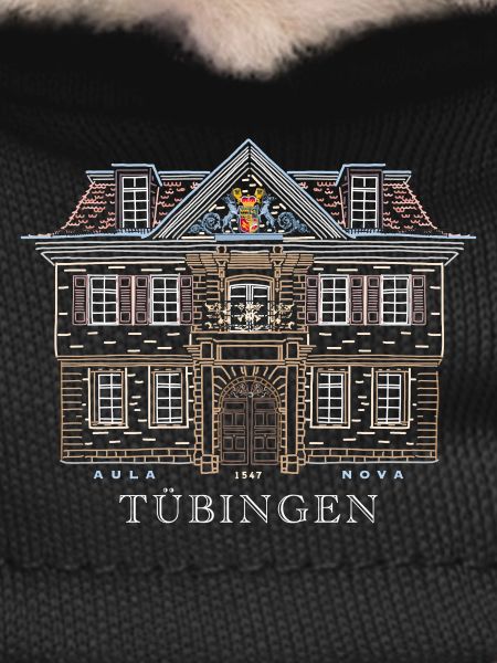 Tübingen, Drawing University House, Germany