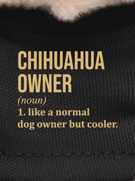 Chihuahua Chihuahua Chihuahua