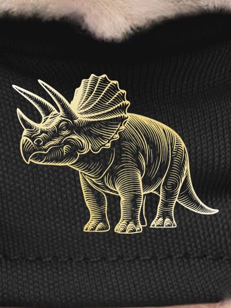 Triceratops Dinosaur Drawing