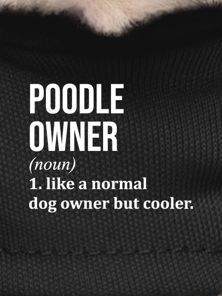 Poodle Poodle Poodle