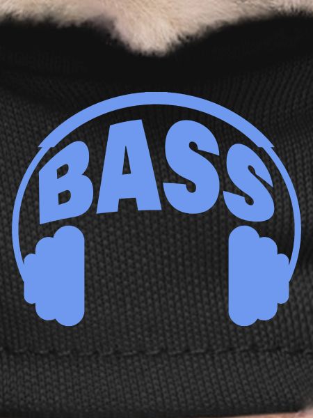 BASSE