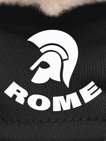 ROME