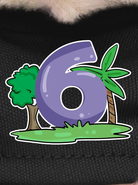 Number 6 Pattern