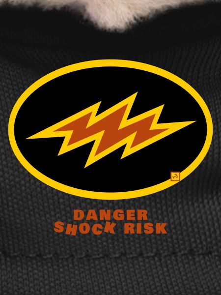 shock risk