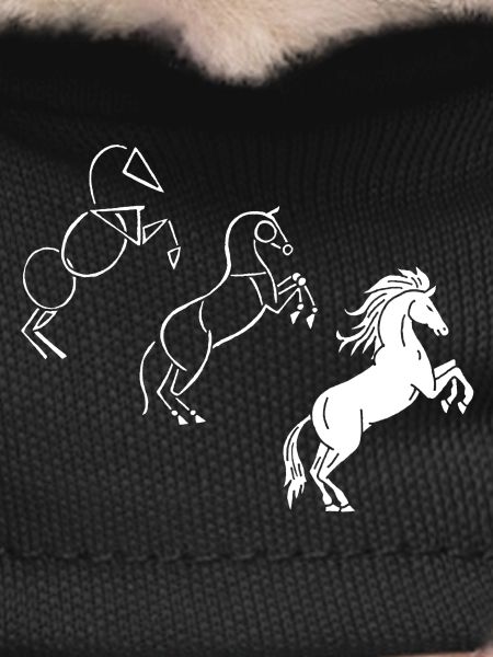 Dessine-moi un cheval blanc