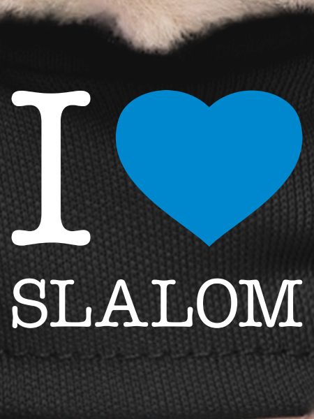 I LOVE SLALOM