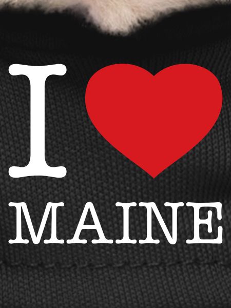 I LOVE MAINE
