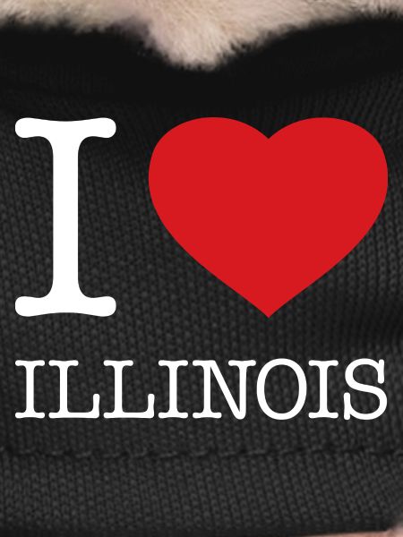 I LOVE ILLINOIS