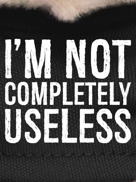 I'm not completely useless