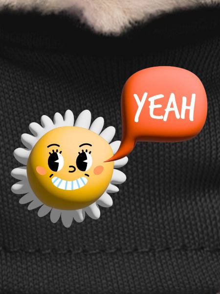 Sun yes 3D