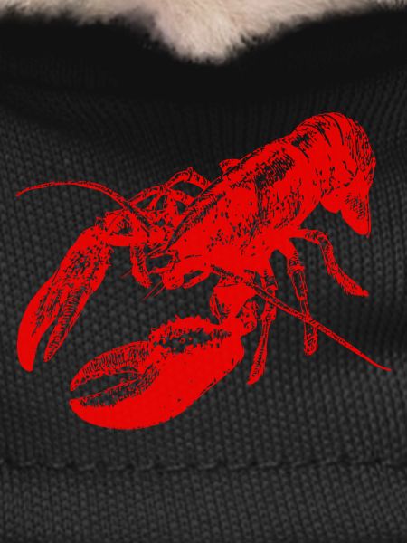 Bold Red Lobster Graphic Design