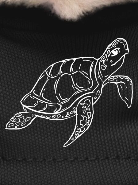 Sea Turtle Ocean Illustration