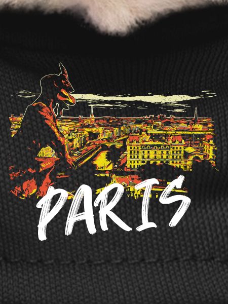 Paris Illustration with Gargoyle