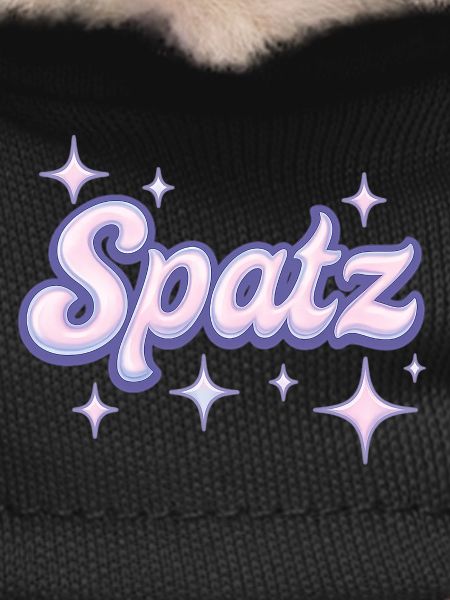 Spatz / Y2K Design