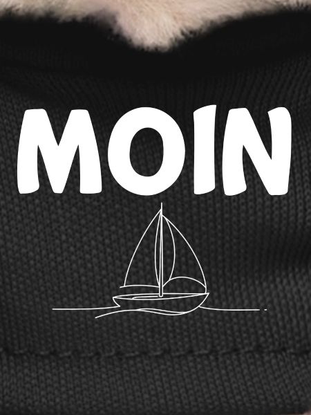Moin Sailboat