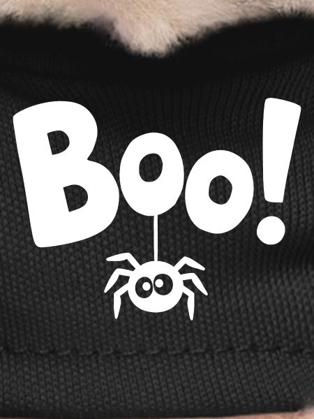 BOO! Funny Spider Statement Saying