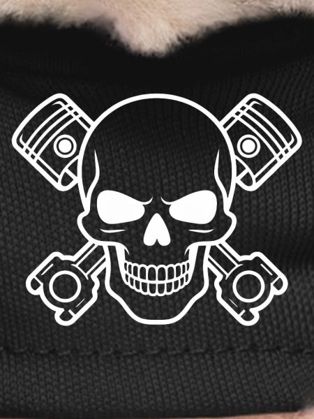 Skull with piston cross