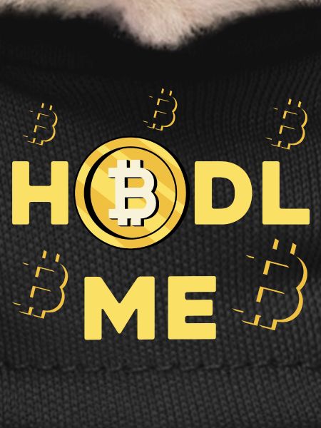 HODL ME Bitcoin Logo