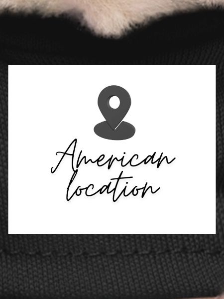 American Location Pin
