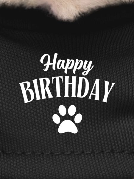 Happy Birthday dog