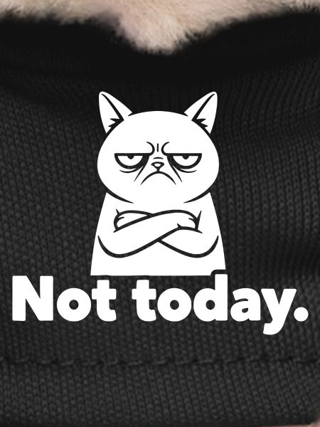 Grim Cat Not Today Meme