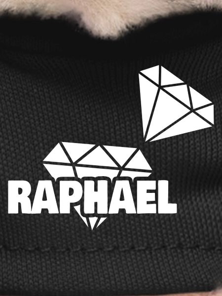 Raphael
