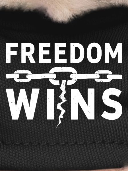 Freedom Wins: Freedom breaks chains