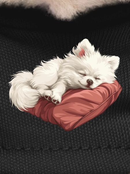 Chiot Spitz endormi