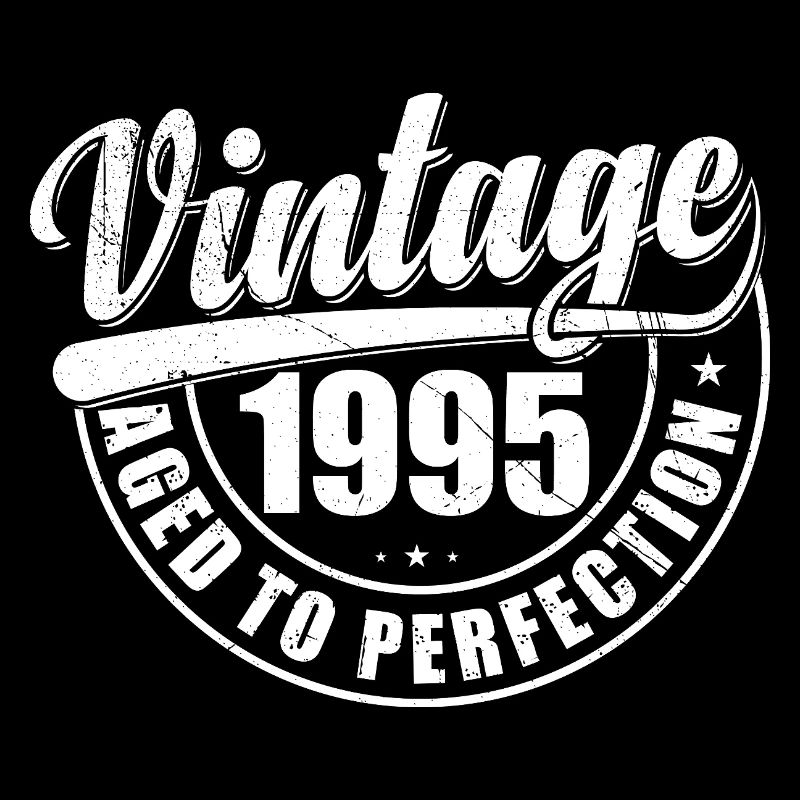 Birthday present 1995 vintage 1995 retro 1995