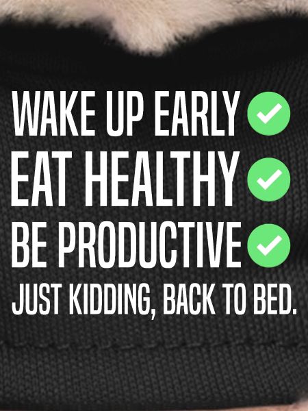 Funny New Year's Resolution