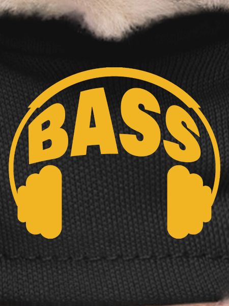 Bass