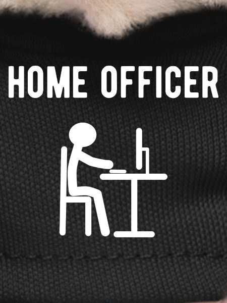 Responsable de la maison