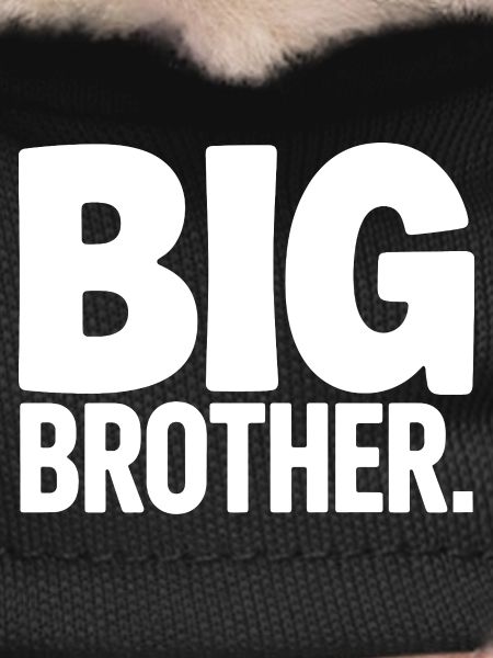 Big Brother Surveillance
