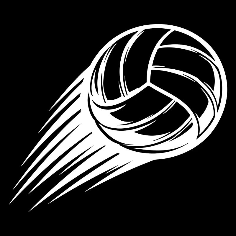 Volleyball Ball