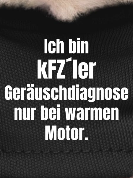 Diagnostic du bruit automobile