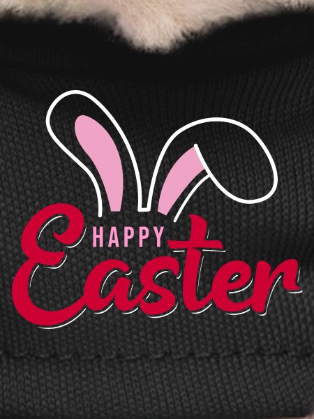 Happy Easter Bunny Scripture