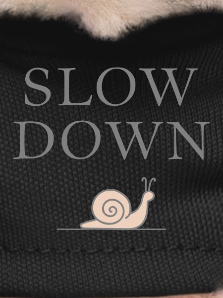Slow Down Snail Deceleration Mindfulness