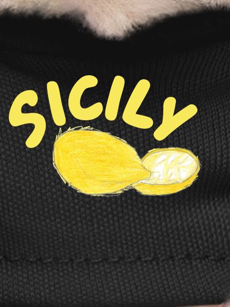 Sicily Lemons Illustration - Sicily