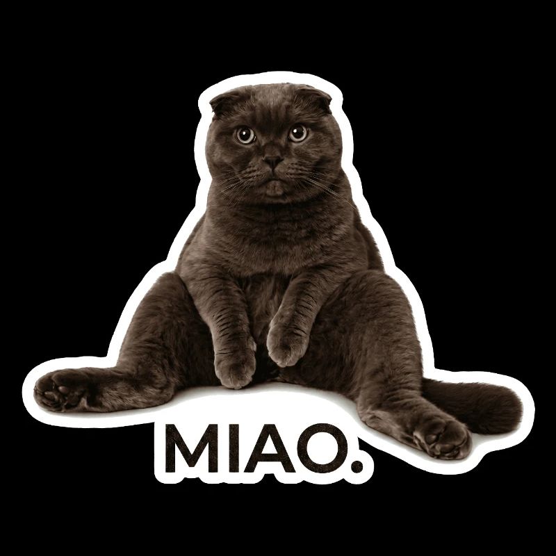 Der ultimative Scottish Fold Chill-Vibe – „Miao.“