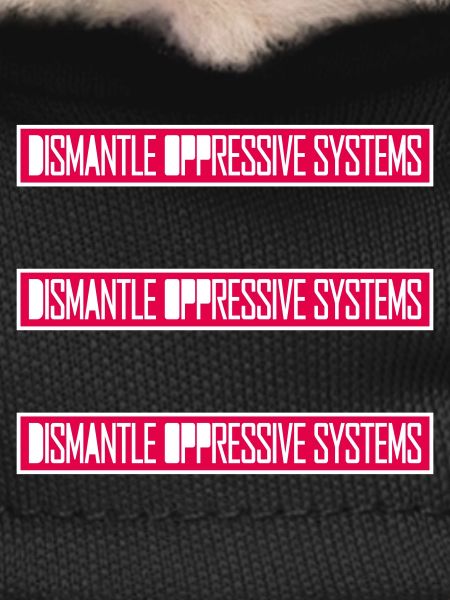 Dismantle Oppressive Systems Activism Statement