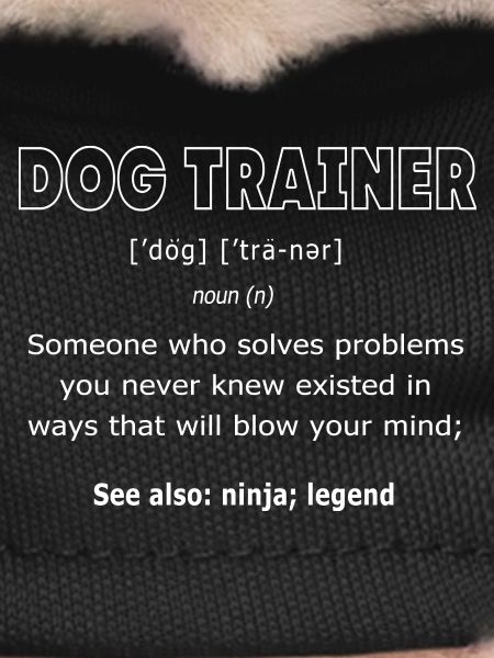 Dog trainer
