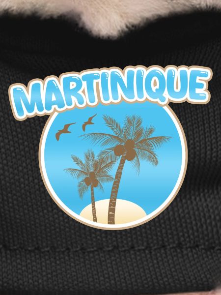 Martinique Beach