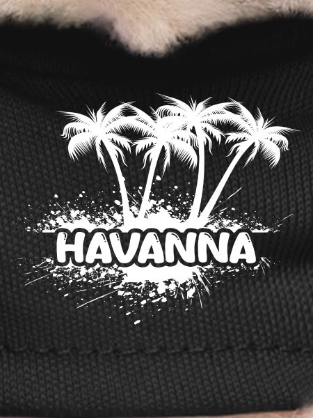 Havana