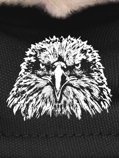 Eagle / Head / Bald Eagle