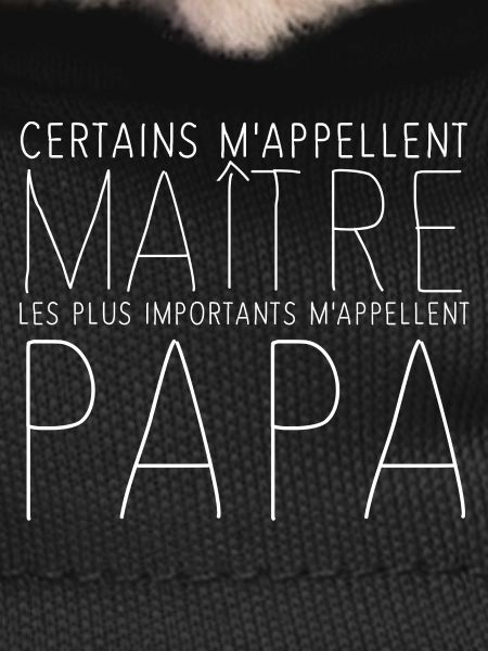 Maître Papa