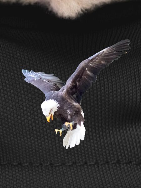 Eagle in a swoop