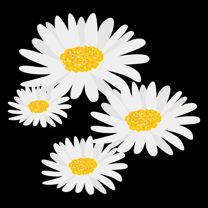 Marguerites de fleurs
