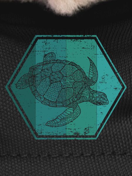 Tortoises