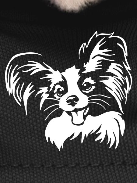 Papillon head "Black Edition"