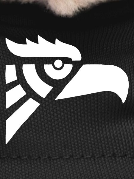 Aztec white eagle head